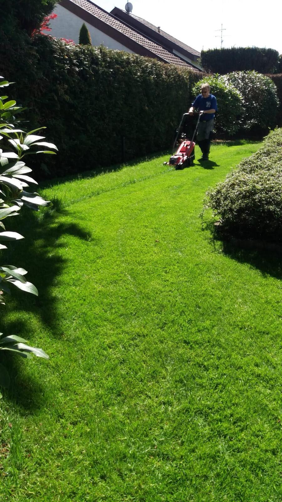 Rasenpflege in einer gepflegten Gartenanlage